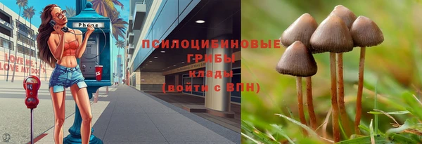 винт Михайловка