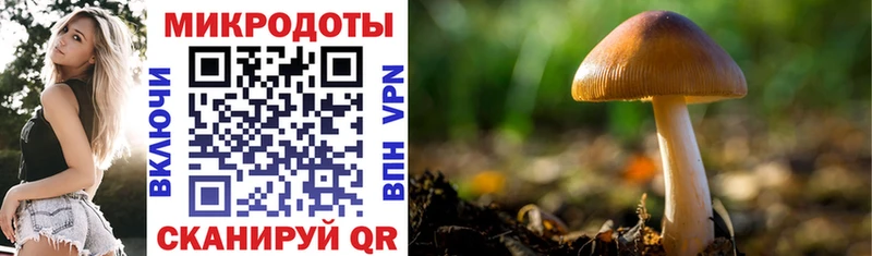 Купить где  Усть-Катав  Галлюциногенные грибы ЛСД 